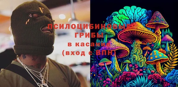ПСИЛОЦИБИНОВЫЕ ГРИБЫ Верея