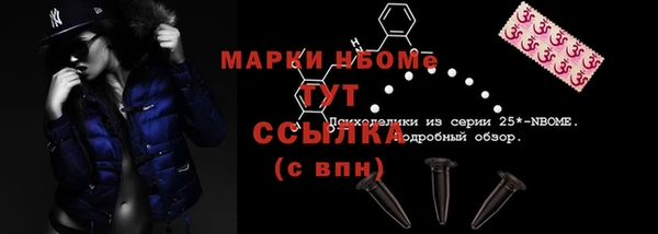 ПСИЛОЦИБИНОВЫЕ ГРИБЫ Верея