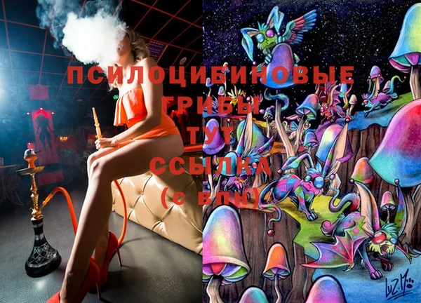 ПСИЛОЦИБИНОВЫЕ ГРИБЫ Верея