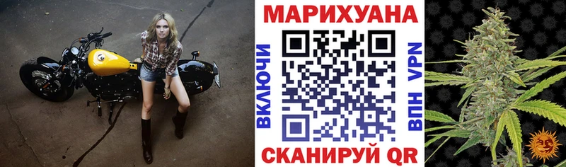 МАРИХУАНА сатива  Купить  Узловая 